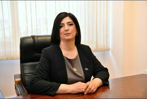 “Nikol Paşinyan hakimiyyəti erməni lobbisinin əlində oyuncağa çevrilib”-Deputatdan AÇIQLAMA