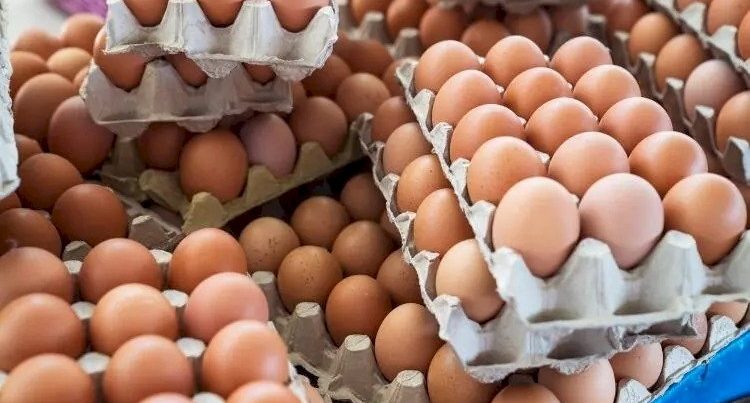 Yumurtanın qiyməti niyə bahalaşdı? – Açıqlama