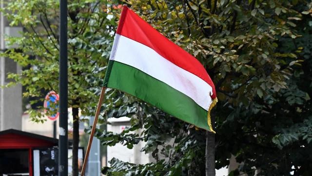 Macarıstan Türkiyəyə daha 105 ton tibbi ləvazimat göndərib