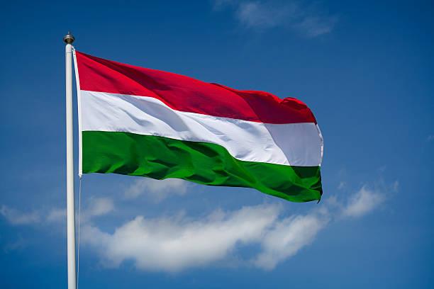 Macarıstanın paytaxtında dava: qazax ukraynalını bıçaqla öldürdü