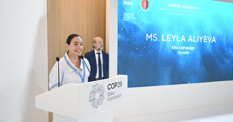 Leyla Əliyeva COP29 çərçivəsində dəniz canlılarına dair panel müzakirələrində iştirak edib