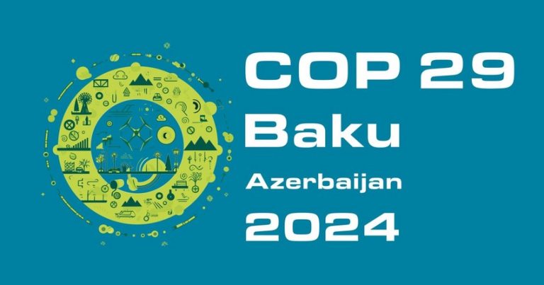 Qərb qüvvələrinin COP29 əleyhinə olan kampaniyaları uğursuzluqla nəticələnəcək – RƏY