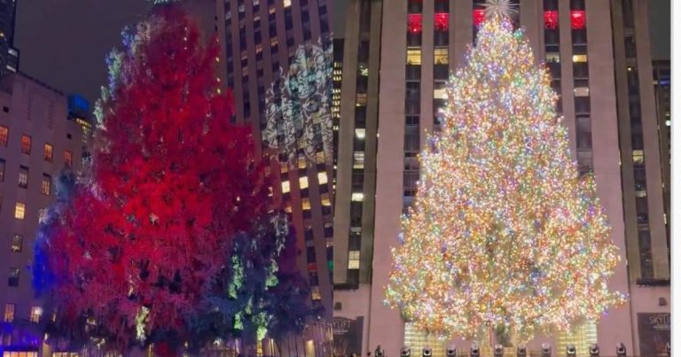 Dünyanın ən məşhur yolka ağacının işıqlandırılması mərasimi keçirilib