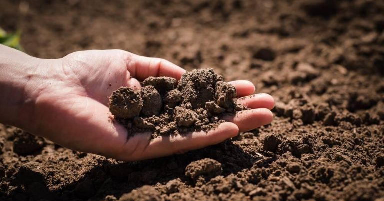 Adına torpağı olanlara ŞAD XƏBƏR: İcazə verildi