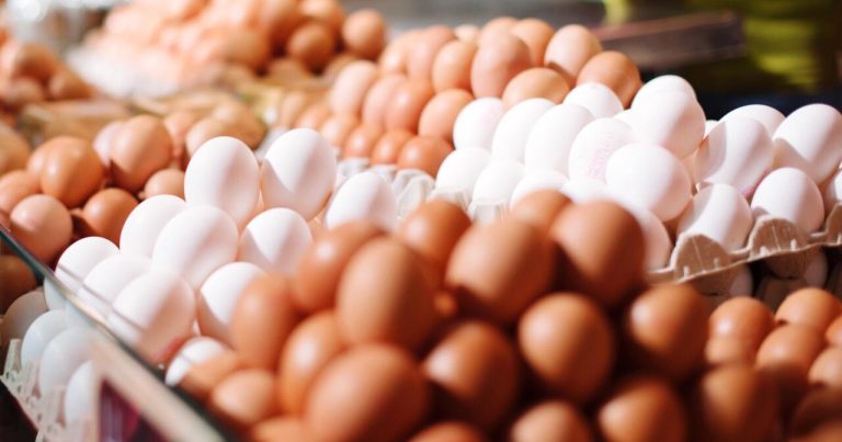 Yumurta BAHALAŞDI: Yeni QİYMƏT – FOTO