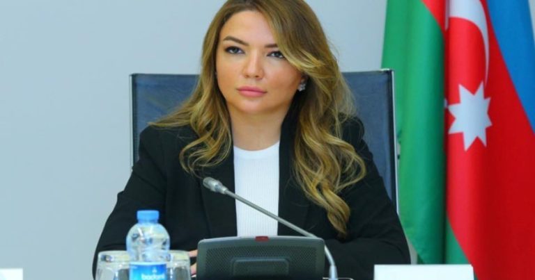 Aygün Əliyeva: “Azərbaycan xalqının ən vacib ehtiyaclarından biri mina problemi ilə mübarizədir”