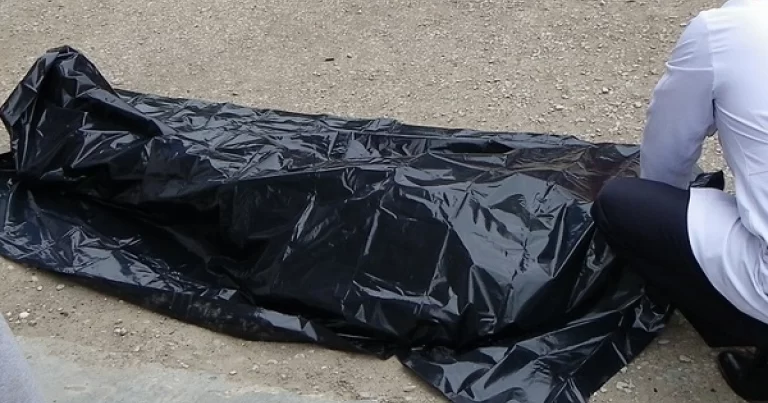 Oğuz sakini üzərinə ağac aşması nəticəsində öldü