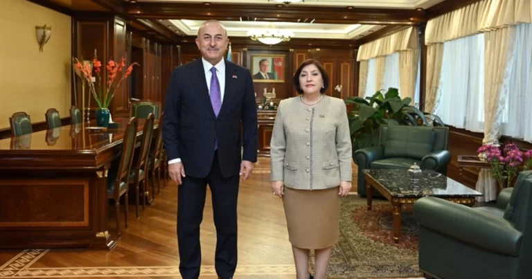 Sahibə Qafarova Mövlud Çavuşoğlu ilə görüşüb