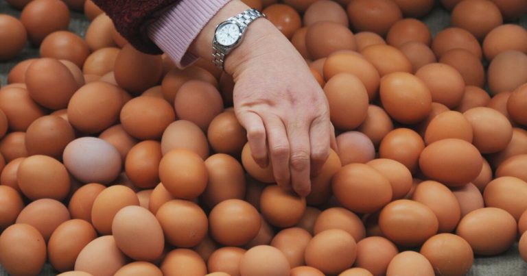 Bakıda yumurtanın qiyməti artıb? – AÇIQLAMA