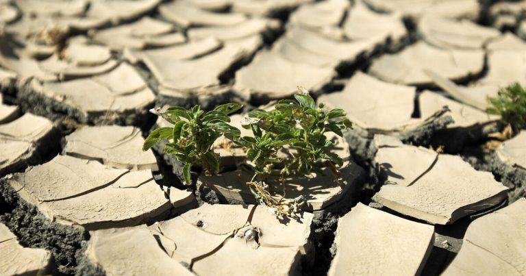 Ötən il tarixdə ən isti il ​​olub