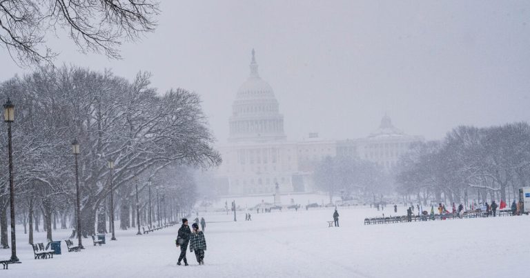 ABŞ-da son 10 ilin ən güclü qarı gözlənilir