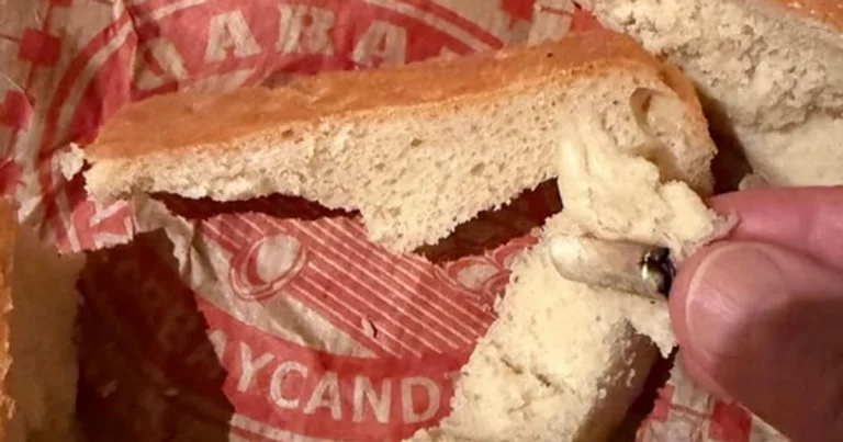 Çörəkdən siqaret kötüyü çıxdı: AQTA hərəkətə keçdi