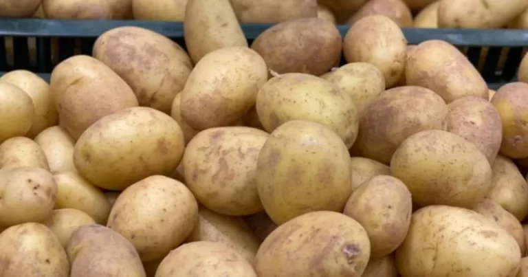 Azərbaycanda kartof BAHALAŞDI