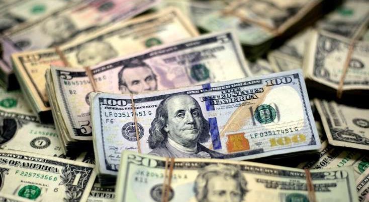 Anomal şaxtalar kənd təsərrüfatına 5 milyard dollar həcmində ziyan vurub