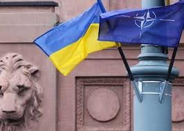 Ukraynaya hərbi yardım NATO-nun müdafiə xərclərinə daxil edildi