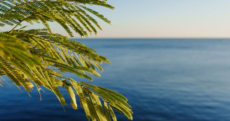 Həkim dənizdə üzməyin nə üçün şirin suda üzməkdən daha sağlam olduğunu açıqlayıb