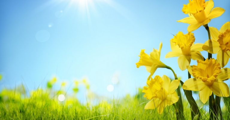 Aran rayonlarında və Naxçıvanda 41 dərəcə isti olub – FAKTİKİ HAVA