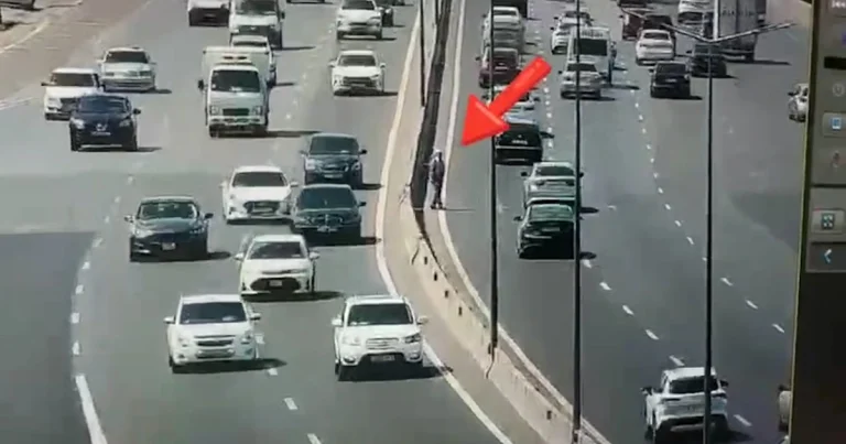 Yol polisi piyadalara çağırış edib