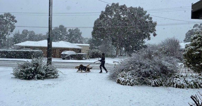 Avstraliyada rekord həddə qar yağıb