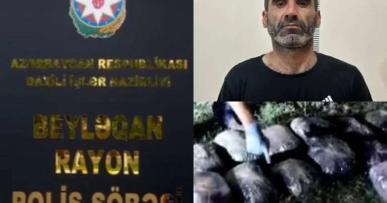 Beyləqanda ƏMƏLİYYAT: 16 kiloqram marixuana və həşiş aşkarlandı