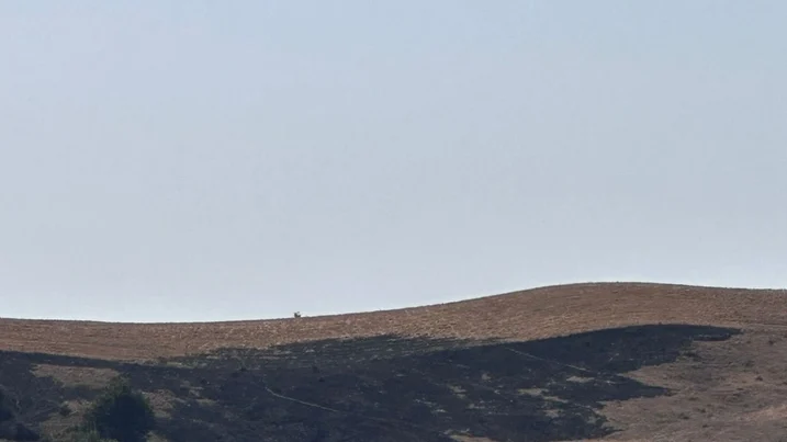 Şamaxıda yanğın törədən şəxs məsuliyyətə cəlb olunub