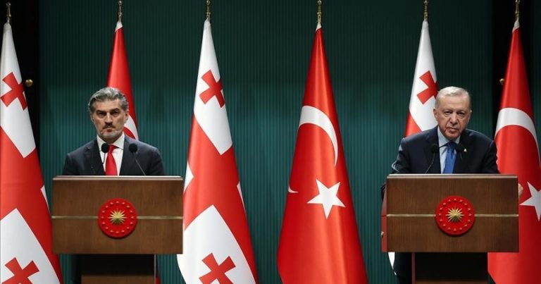 Türkiyə və Gürcüstan: Regionda Birlik və İnkişafın Yeni Dövrü