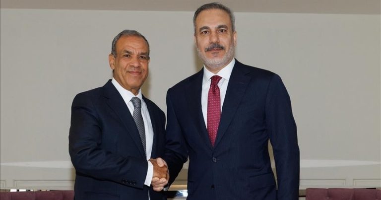 Türkiyə XİN başçısı Misir həmkarı ilə görüşüb