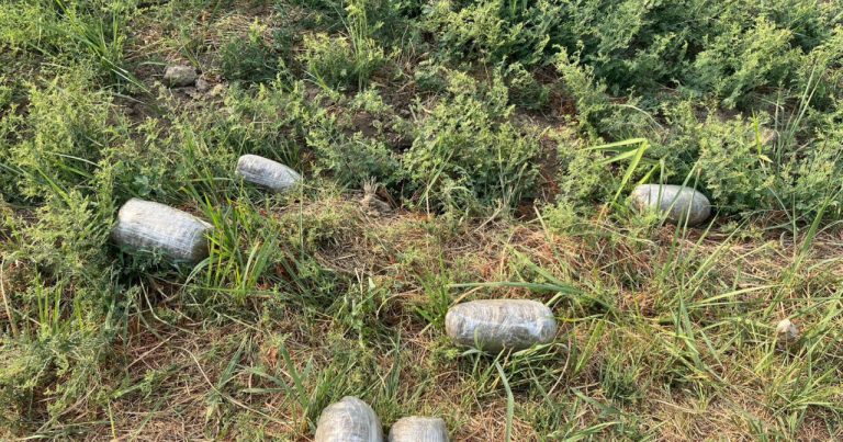 Azərbaycan-İran sərhədində insdent – 6 kq marixuana aşkarlandı – FOTO