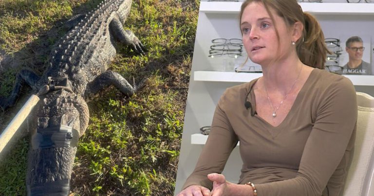 Amerikalı qadın onu yeməyə çalışan timsahı döyüb