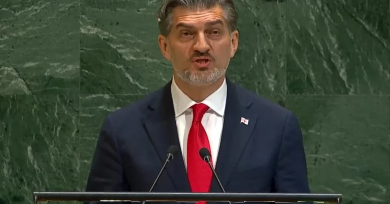 Gürcüstan Prezidenti BMT-də Ukraynanın yanında olduqlarını bəyan etdi