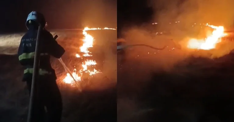 Füzulidə biçilmiş taxıl sahəsində yanğın olub