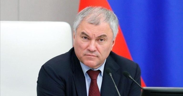 Volodin Fransada Makrona qarşı narazılıqlardan danışdı