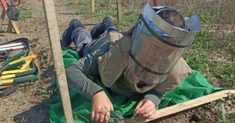 Azərbaycanda minaaxtaran qadınların sayı açıqlanıb – RƏSMİ