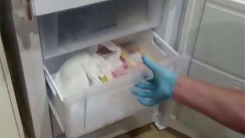 Ana və qızının cəsədləri anbardakı soyuducudan tapıldı Ana və qızının cəsədləri anbardakı soyuducudan tapıldı