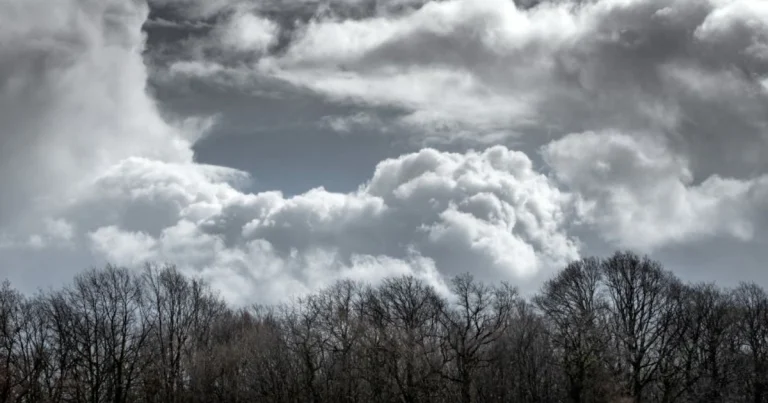 Bayram günlərinin hava proqnozu açıqlanıb