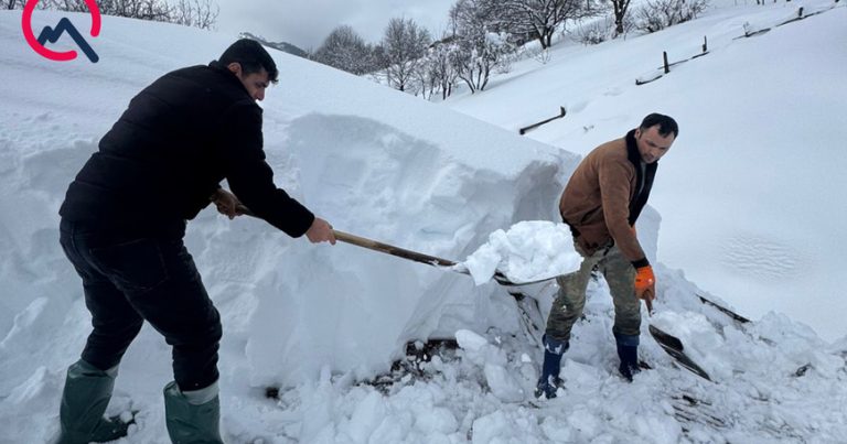 “Ölsək, heç kimin xəbəri olmayacaq” – Pəncəlinin qardaşı-Video