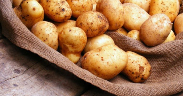 Kartof niyə bu qədər BAHALAŞIB? – Xaricə 59 qəpiyə, daxili bazarda 1 manatdan ÇOX