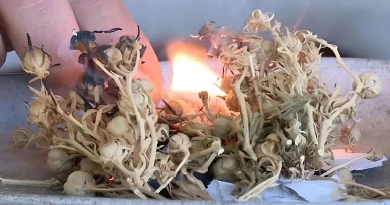 Nazirlik ÜZƏRLİKLƏ BAĞLI əhaliyə müraciət etdi