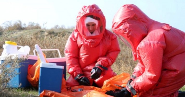 SON DƏQİQƏ! Azərbaycanda quş qripi yayılıb? AÇIQLANDI SON DƏQİQƏ! Azərbaycanda quş qripi yayılıb? AÇIQLANDI