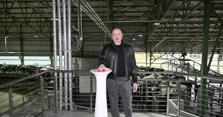 İlham Əliyev Şamaxıda “Şirvan Aqro” heyvandarlıq kompleksinin açılışında iştirak edib – FOTO