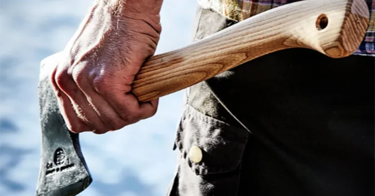 Azərbaycanda DƏHŞƏTLİ HADİSƏ: Oğul anasını balta ilə qətlə yetirdi, özü də öldü