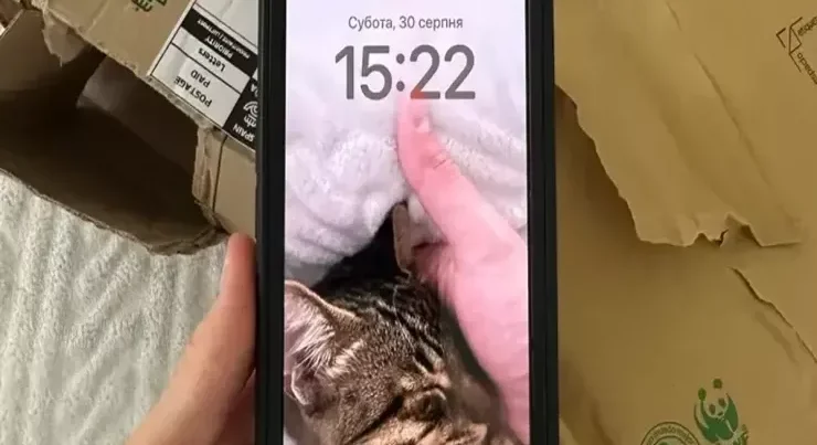 iPhone istifadəçilərinin NƏZƏRİNƏ: təcili iOS-u yeniləyin iPhone istifadəçilərinin NƏZƏRİNƏ: təcili iOS-u yeniləyin