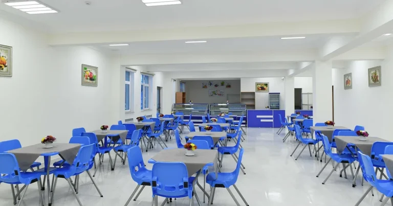 Azərbaycan məktəblərinin bufetlərində QADAĞAN EDİLMİŞ məhsulların SİYAHISI