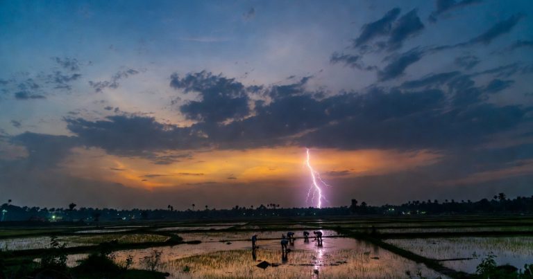 İldırım vurması nəticəsində ən azı 14 nəfər ölüb
