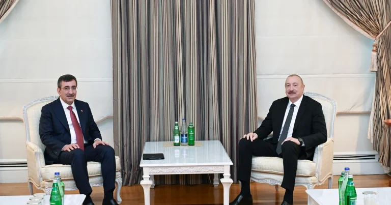 İlham Əliyev Türkiyənin vitse-prezidentininin başçılıq etdiyi nümayəndə heyətini qəbul edib – FOTO