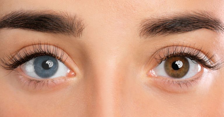 Alimlər iddia edir: Gözlərimiz əslində beynin yuxarı hissəsində formalaşmış tək görmə sistemindən inkişaf edib