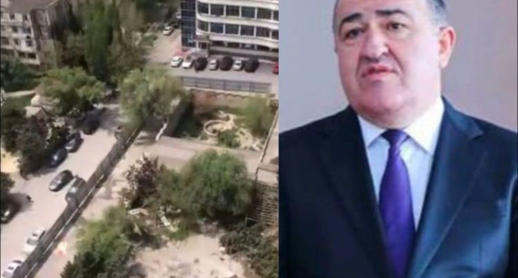 Xətaidə ağacların kəsilməsi ilə bağlı NAZİRLİKDƏN AÇIQLAMA