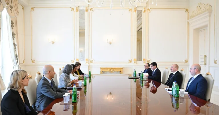 Prezident İlham Əliyev BMT-nin Məskunlaşma Proqramının icraçı direktorunu qəbul edib – FOTO