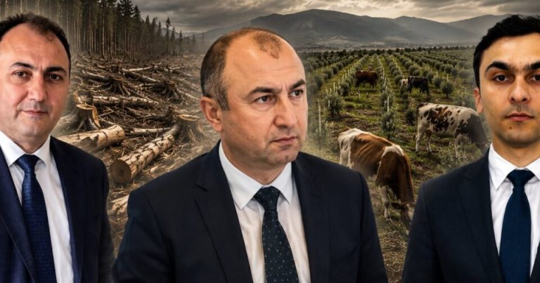 Dövlətin yaşıl siyasətini “qara biznes”ə çevirənlər… – Ekologiyanın “boz kardinal”ı Vüqar Kərimova qarşı ağır ittihamlar
