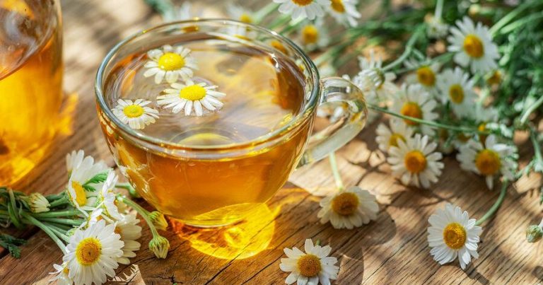 Həkim gündə nə qədər çay içməyin təhlükəsiz olduğunu açıqlayıb Həkim gündə nə qədər çay içməyin təhlükəsiz olduğunu açıqlayıb